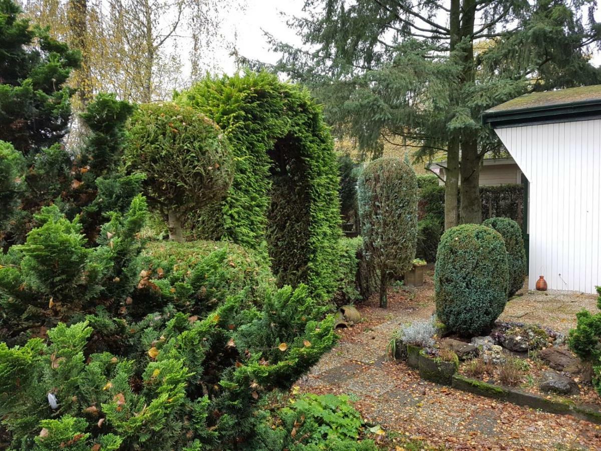 Cottage house بوتِنْ المظهر الخارجي الصورة
